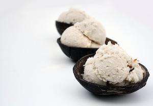 Raw Coconut Ice-Cream | Coconut Magic