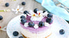 Raw Blueberry Vanilla Cheesecake