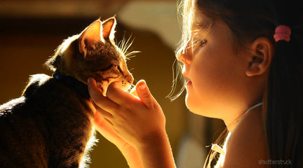 20 Ways Coconut Oil Can Help Your Pet