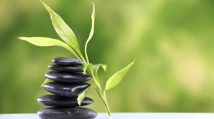 5 Traditional Methods to Detox Your Body