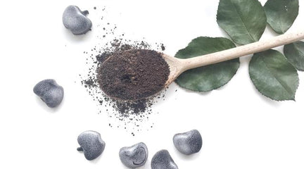 DIY Coffee Coconut Body Scrub Cubes