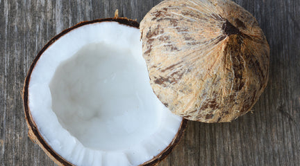 Top 5 Plant Foods to Boost Your Metabolism